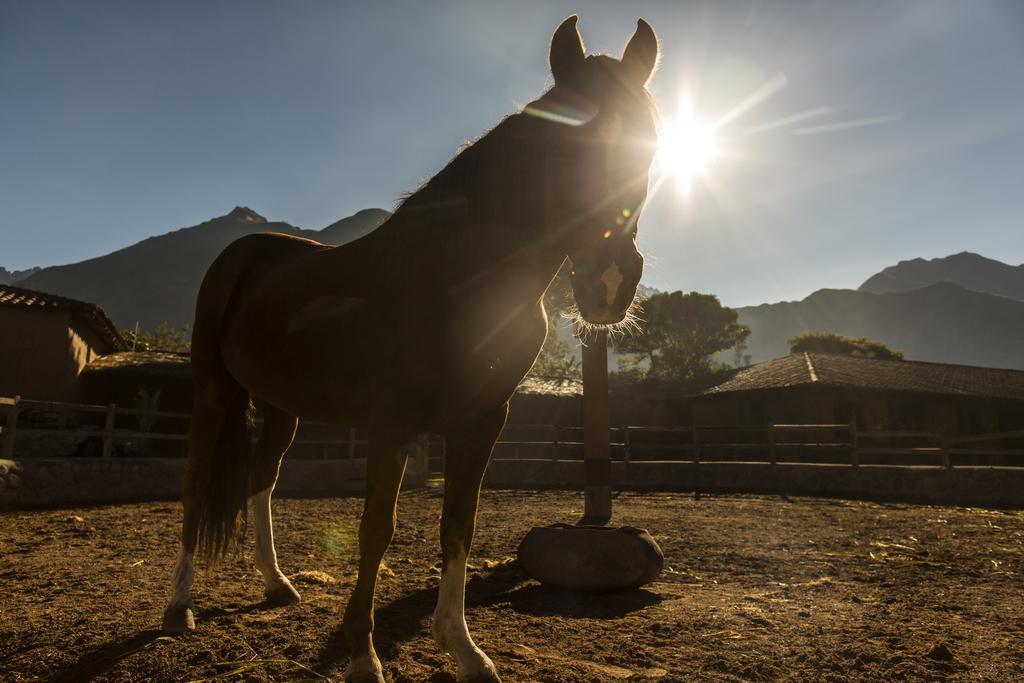 Sol Y Luna - Relais & Chateaux Sacred Valley Ngoại thất bức ảnh